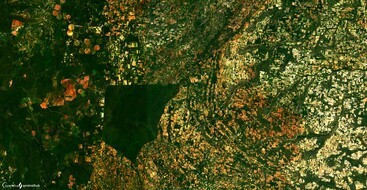 Ecosystem go-to-choice