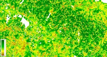 Leaf Area Index image of Brandenburg in Northern Germany, showing high variability of LAI between crops, grasslands, wetlands and forests