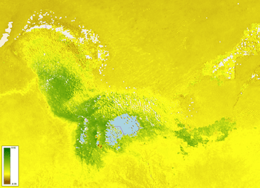  NDVI image of Lake Chad (Nigeria, Chad, Niger, Cameroon) 