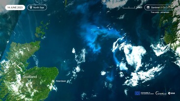 Sentinel-3 image of North Sea bloom 14 June 2023
