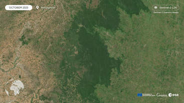 Sentinel-2 image of Ranomafana National Park, Madagascar