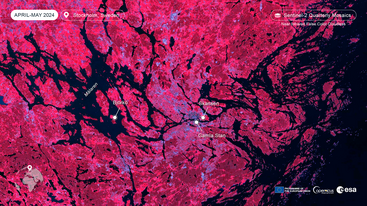 Sentinel-2 quarterly mosaic of Stockholm April-June 2024 edit