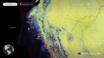 Sentinel-1 monthly mosaics of 1 December 2024, showing Northwestern Peru