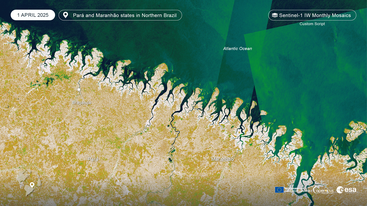 Sentinel-1 IW Monthly Mosaics Pará and Maranhão states in Northern Brazil 1 April 2025 edit