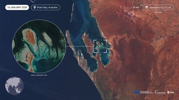 Sentinel-3 OLCI L1B and Sentinel-2 image of Shark Bay Australia 19 January 2026 edit