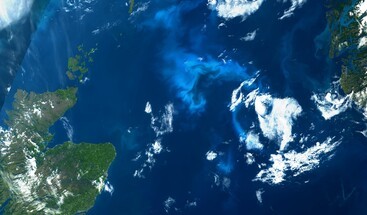 Sentinel-3 image of North Sea bloom 14 June 2023