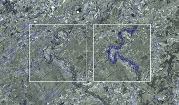 Sentinel-1 and Sentinel-2 image of July 2021 of Esneux Belgium