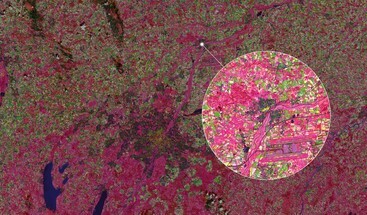 Sentinel-2 image of Freising, Germany 21 July 2024 clean