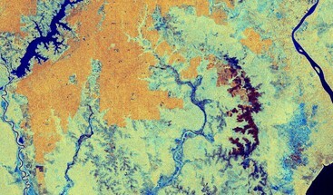 Sentinel-1 image of Kalimantan Borneo Indonesia 1 May 2023