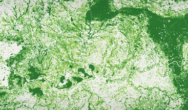 Copernicus LCFM Pan-Tropical Tree Cover Density Laos clean