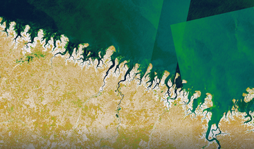 Sentinel-1 IW Monthly Mosaics Pará and Maranhão states in Northern Brazil 1 April 2025 clean