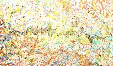 Sentinel-2 L2A Agricultural Growth Stage image of Massif Central, France clean